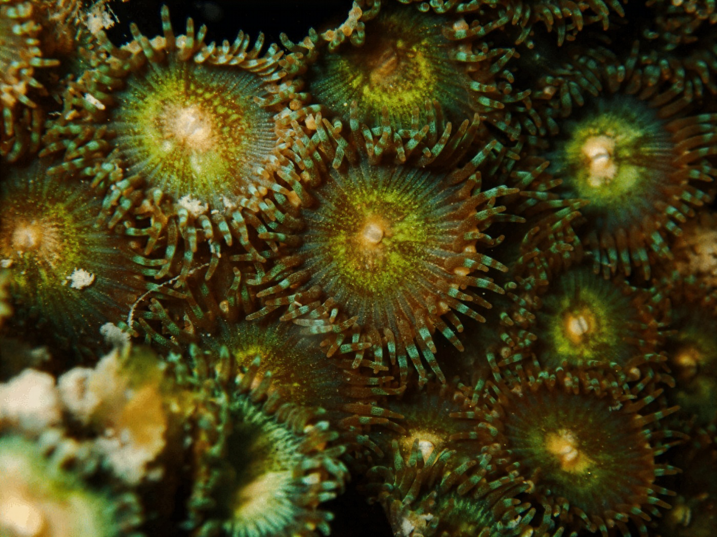 https://www.oceans5.org/wp-content/uploads/2026/02/3.png
