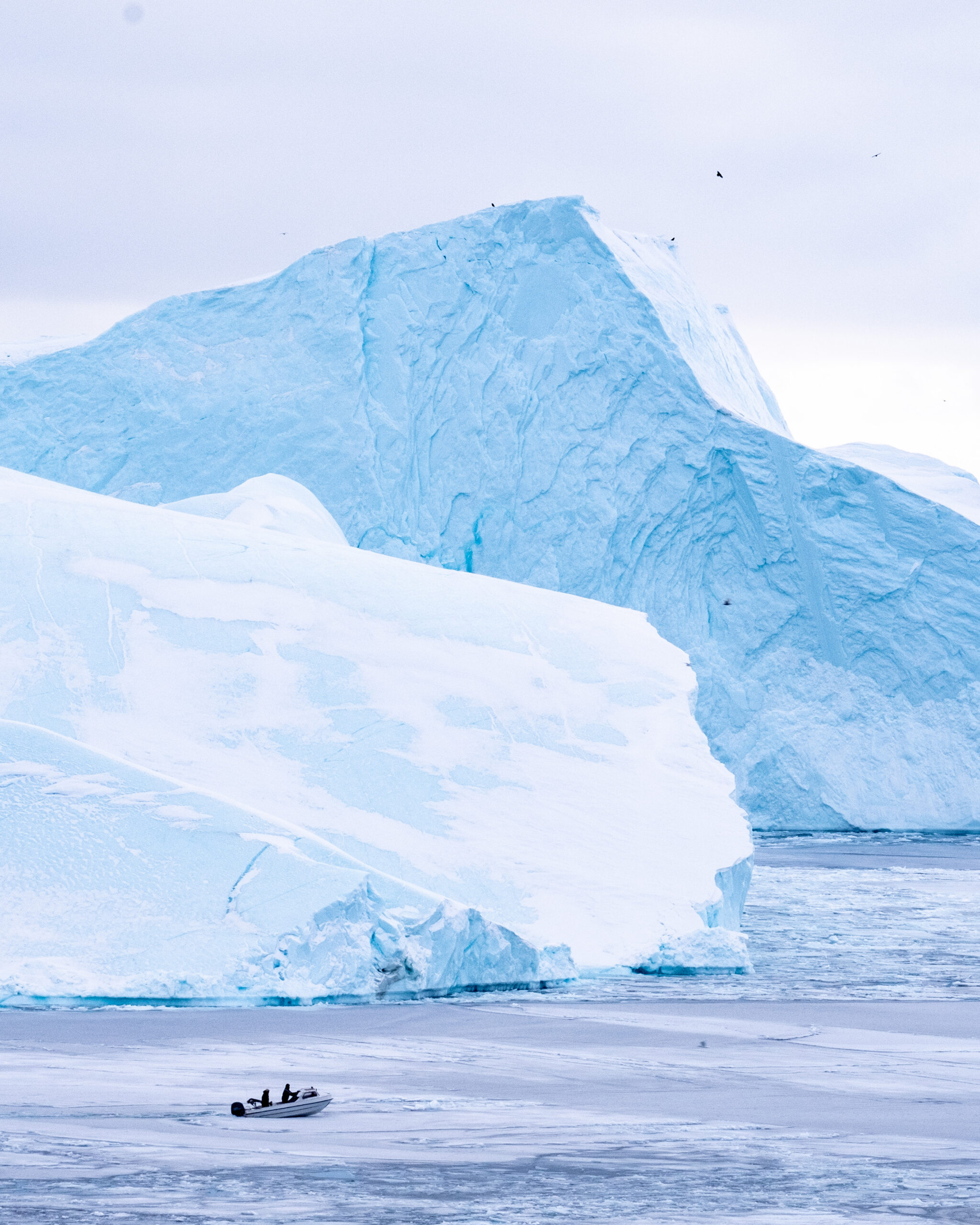 https://www.oceans5.org/wp-content/uploads/2026/07/OceanImageBank_LasseKyed_02-scaled.jpg